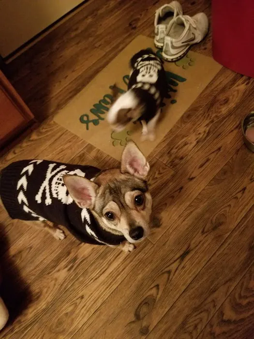 Bellemore Animal Hospital Picture 7