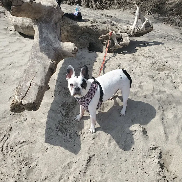 Bellemore Animal Hospital Picture 10