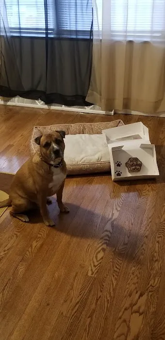 Normandy Animal Hospital Inc Picture 2