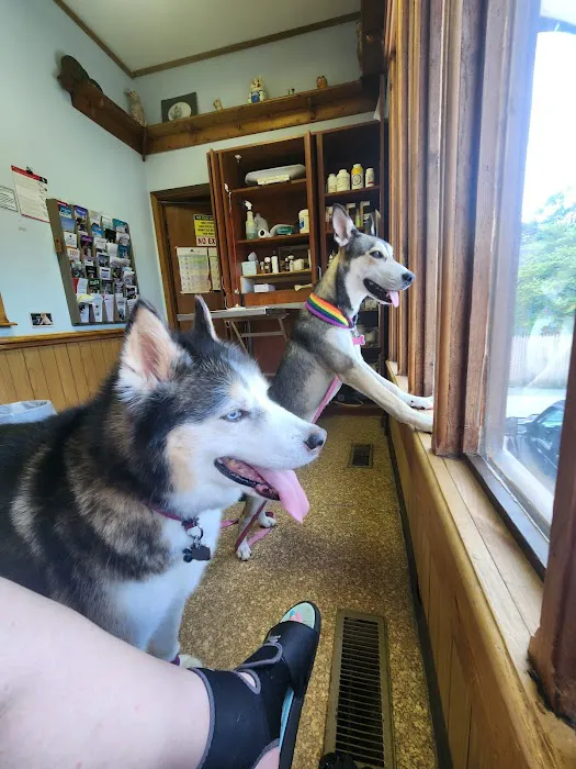 Normandy Animal Hospital Inc Picture 7