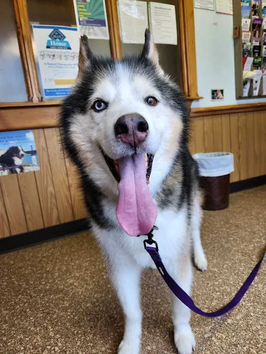 Normandy Animal Hospital Inc Picture 8