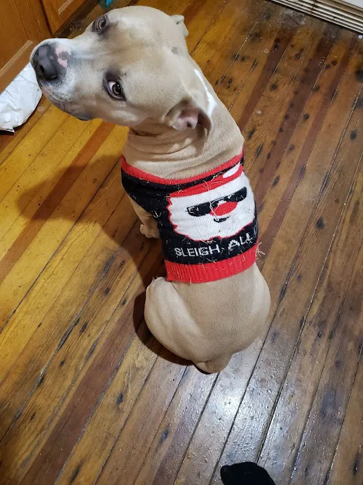 Normandy Animal Hospital Inc Picture 10