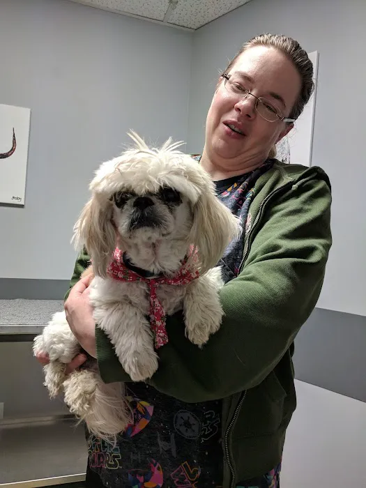 Associated Veterinary Specialists Picture 1