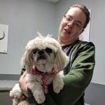 Associated Veterinary Specialists