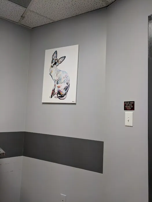 Associated Veterinary Specialists Picture 2