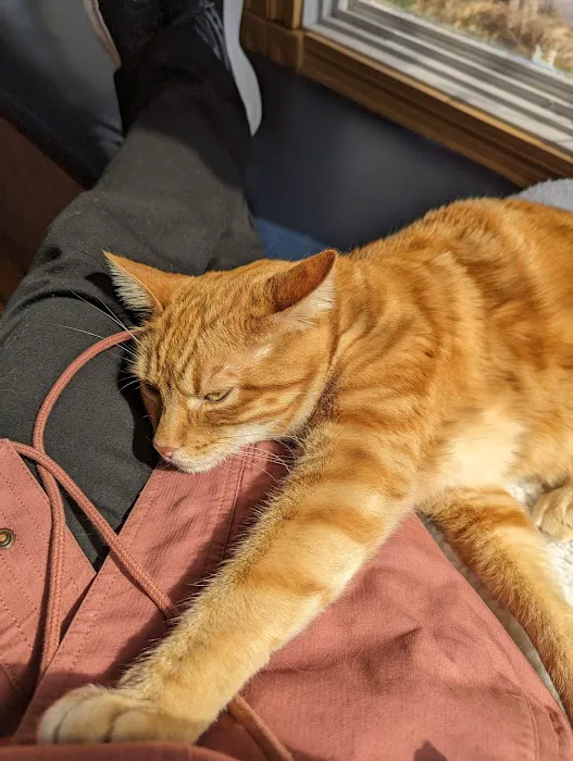 Associated Veterinary Specialists Picture 9