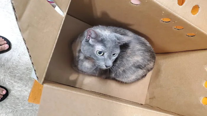 Banfield Pet Hospital Picture 1