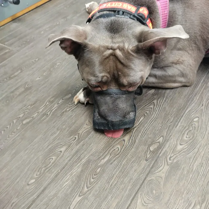 Banfield Pet Hospital Picture 3