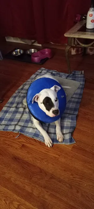 Banfield Pet Hospital Picture 4