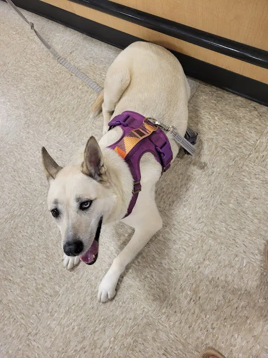 Banfield Pet Hospital Picture 2