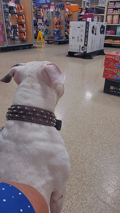 Banfield Pet Hospital Picture 5