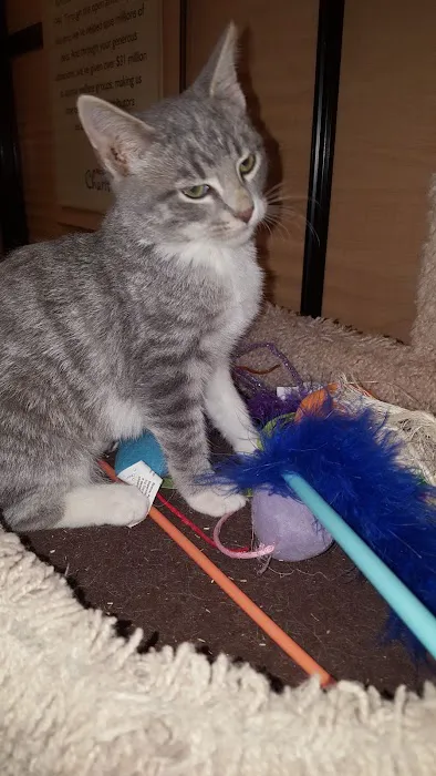 Banfield Pet Hospital Picture 8