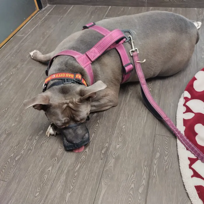 Banfield Pet Hospital Picture 7