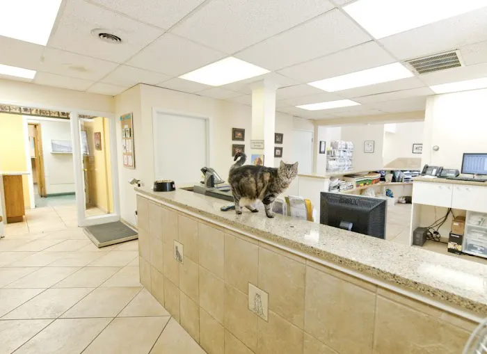 Rock Road Animal Hospital Picture 3