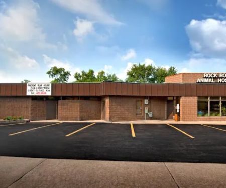 Rock Road Animal Hospital
