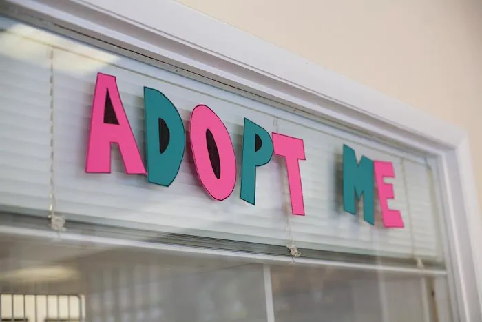 Rock Road Animal Hospital Picture 9