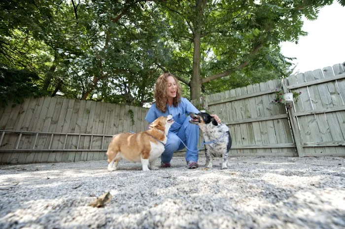 Rock Road Animal Hospital Picture 8