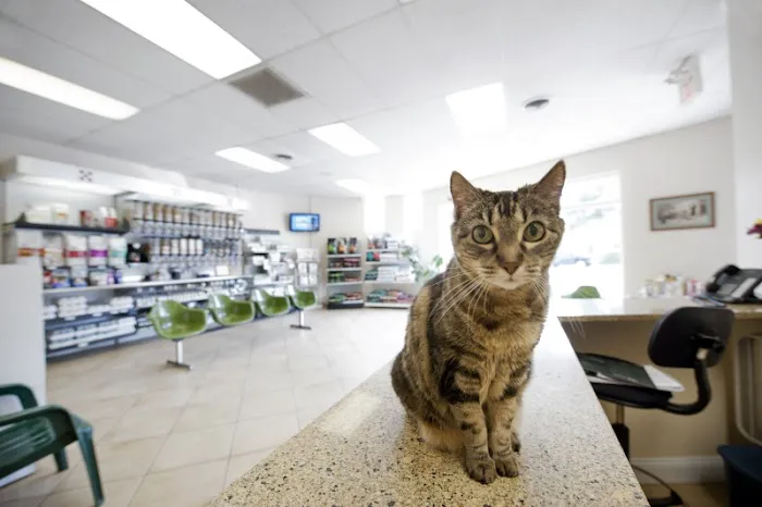 Rock Road Animal Hospital Picture 10