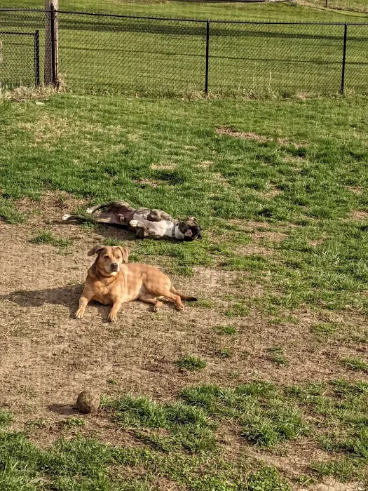 Rock Road Animal Hospital: Stroud Paige DVM Picture 4