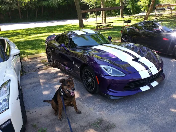 Rock Road Animal Hospital: Stroud Paige DVM Picture 6