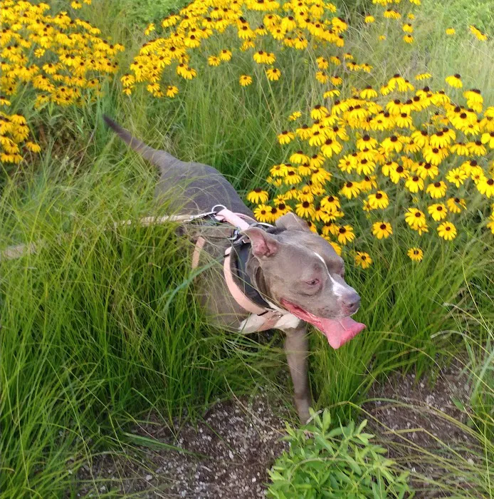 Overland Animal Clinic Picture 1