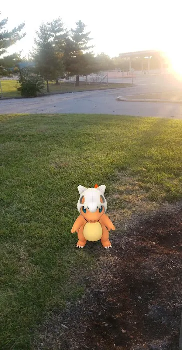 Overland Animal Clinic Picture 6