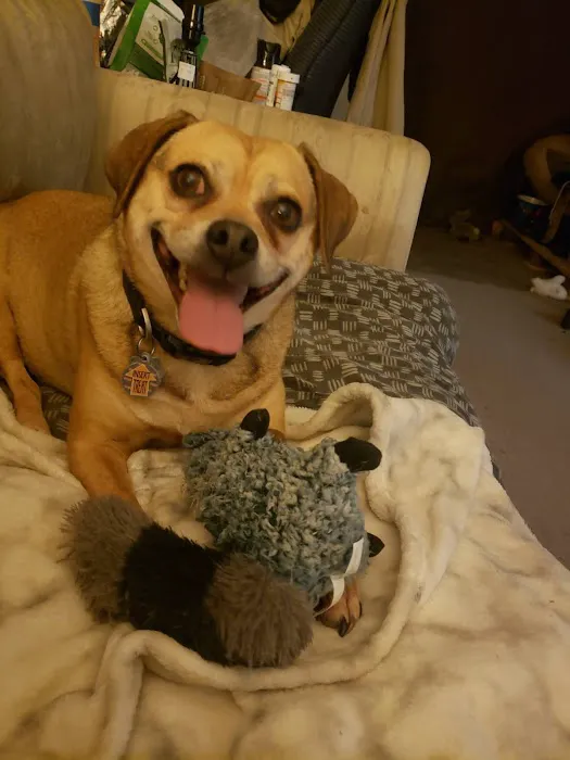 Overland Animal Clinic Picture 5