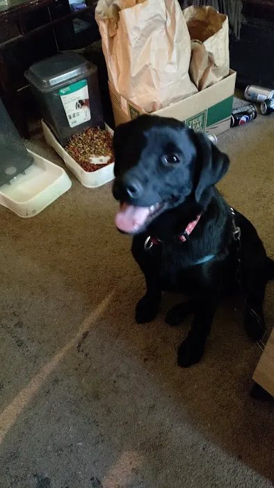 Overland Animal Clinic Picture 8