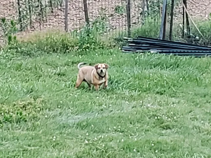 Overland Animal Clinic Picture 7