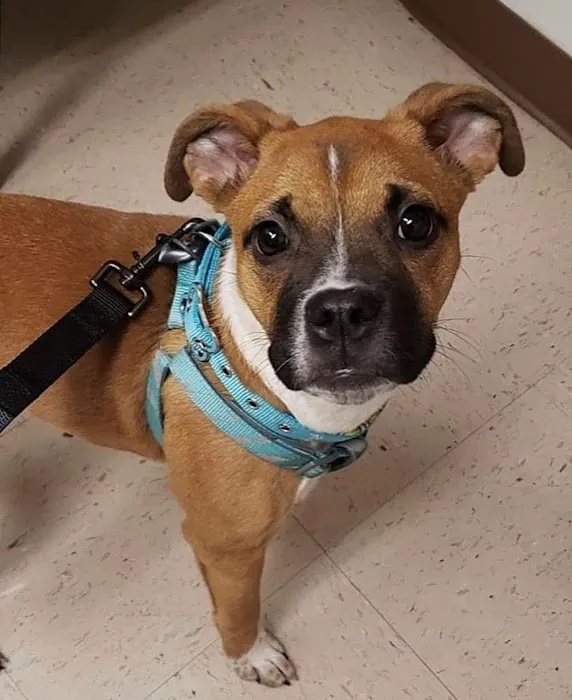 Keota Veterinary Clinic Picture 3