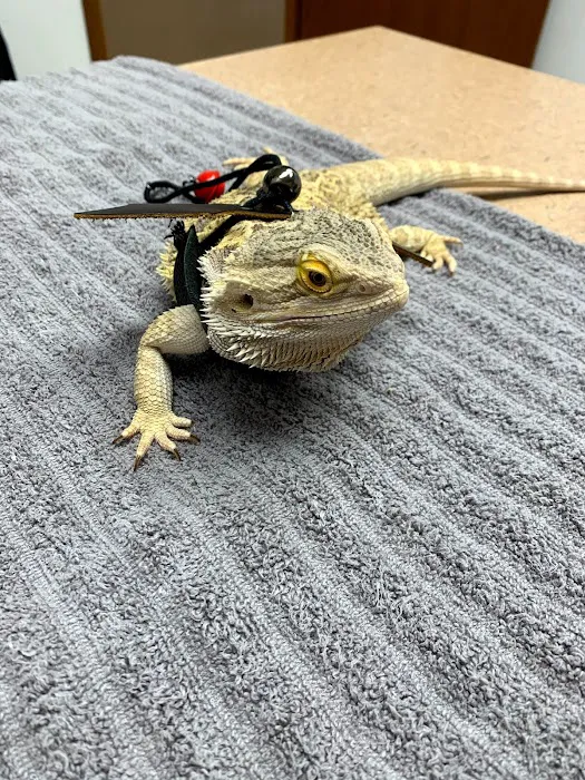 Keota Veterinary Clinic Picture 6