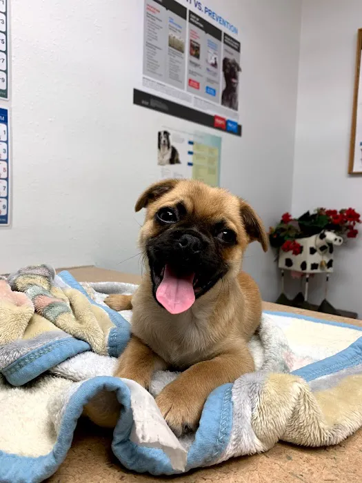 Keota Veterinary Clinic Picture 1