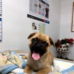 Keota Veterinary Clinic