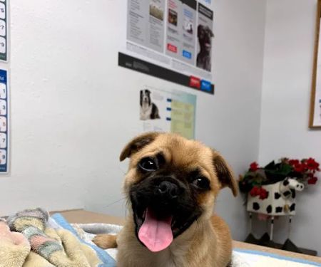 Keota Veterinary Clinic