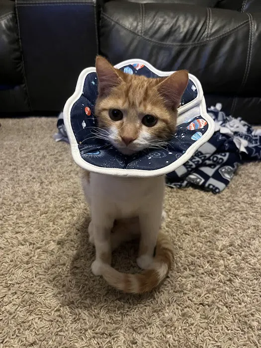 Keota Veterinary Clinic Picture 5