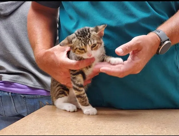 Keota Veterinary Clinic Picture 4