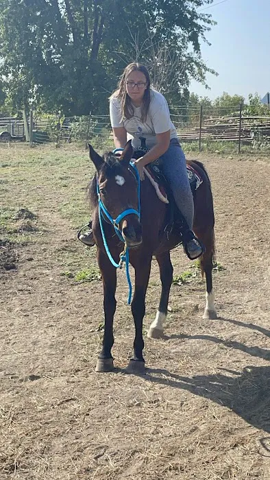 Keokuk County Veterinary Clinic, P.C. Picture 3