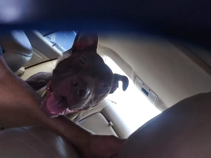 Keokuk County Veterinary Clinic, P.C. Picture 1