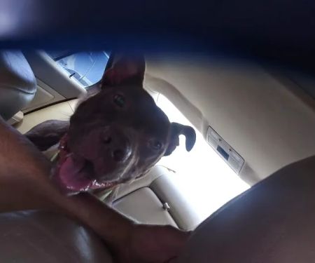 Keokuk County Veterinary Clinic, P.C.