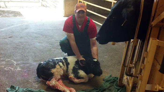 Keokuk County Veterinary Clinic, P.C. Picture 4