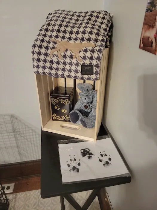 Keokuk County Veterinary Clinic, P.C. Picture 2