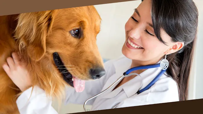 Keokuk County Veterinary Clinic, P.C. Picture 7