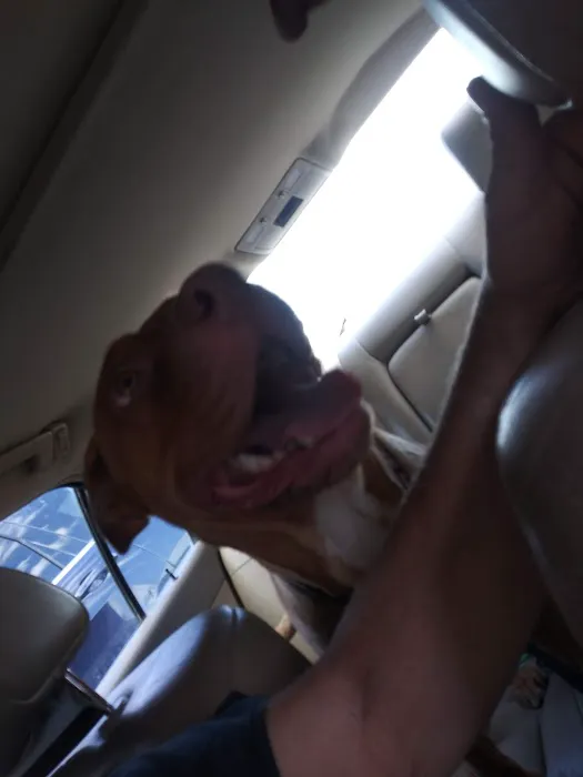 Keokuk County Veterinary Clinic, P.C. Picture 5