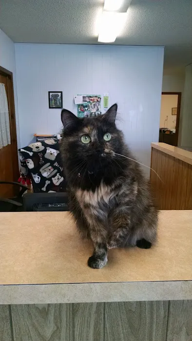 Keokuk County Veterinary Clinic, P.C. Picture 8