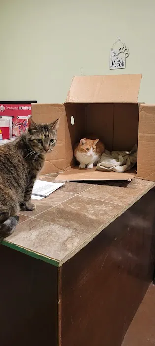 The Village Vet Picture 1