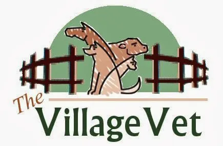 The Village Vet Picture 4