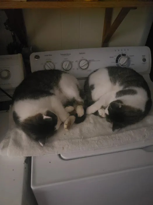 Fairfield Animal Hospital Picture 3