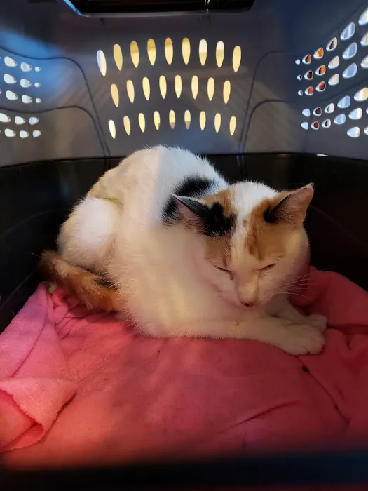 Fairfield Animal Hospital Picture 1