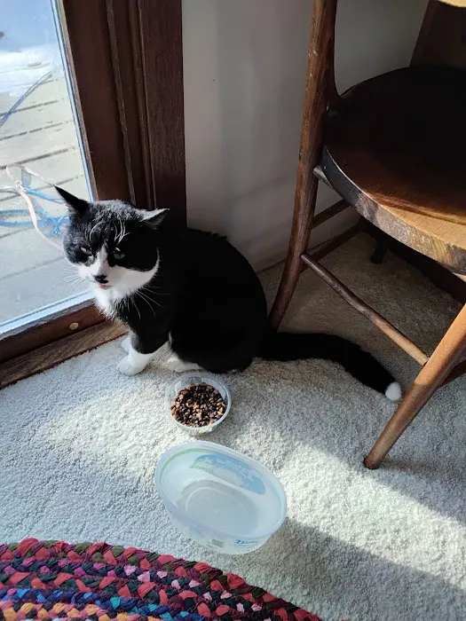 Fairfield Animal Hospital Picture 6