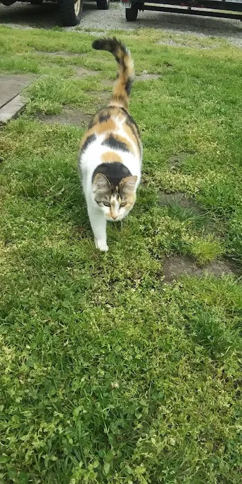 Fairfield Animal Hospital Picture 2